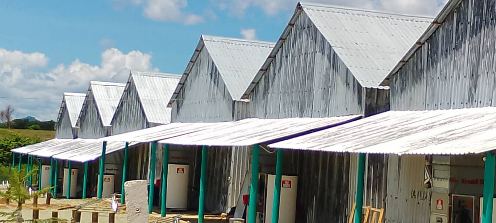 El joven productor Linnel Marrero Turiño, asegura plantar mås de 100 hectáreas de tabaco  en la finca la puntilla, ubicada en el poblado de Falcón en la provincia de Villa Clara. 
#Tabacuba
#OrgulloDeJovenTabacalero