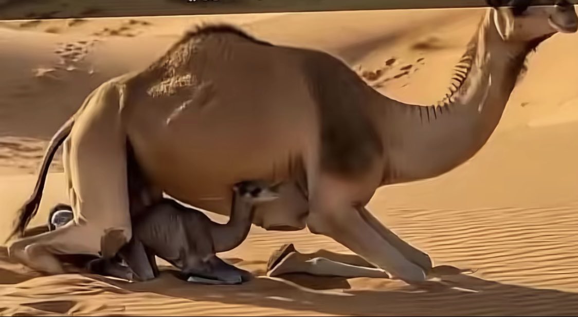 #صورة_أبلغ_من_الكلام

يلي على أمك ترفع الصوت 
بهواش

طالع وناظر فضل الأم وعطاها 

الشمس تحرقها ولك ظلها فراش

تكفى تمعن زين وأكسب رضاها

                          ( لقائلها )