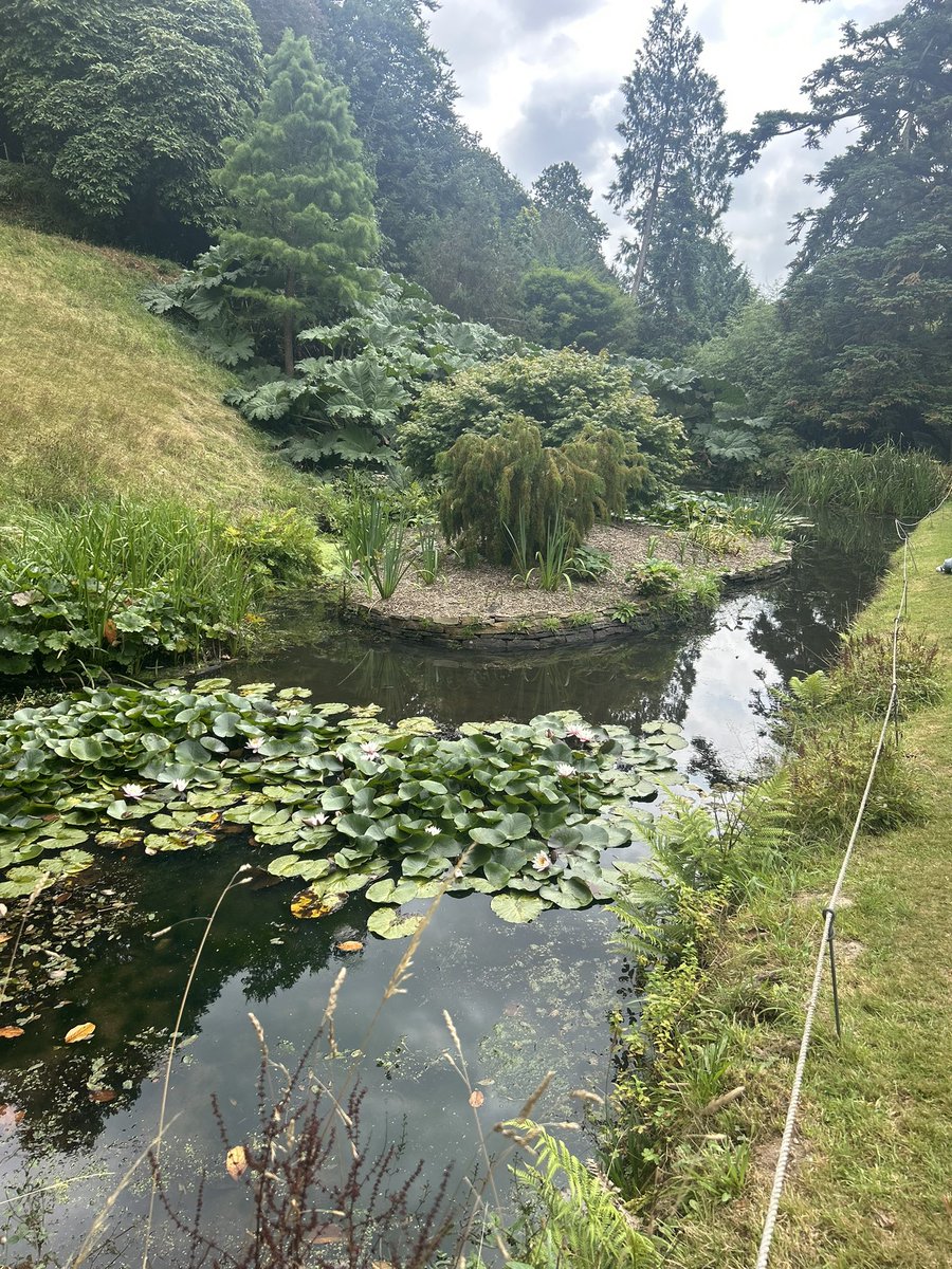 Afternoon spent at @NTGlendurgan…. #kernow home