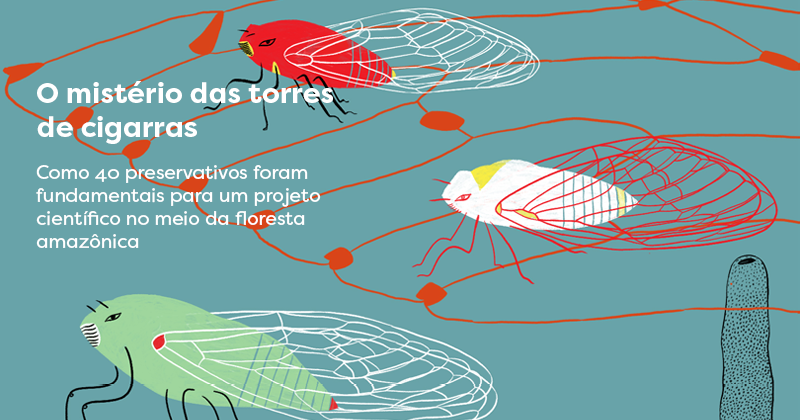 Ao sobrevoar a Amazônia pela primeira vez, a bióloga marinha Marina Méga sentiu como se ouvisse da floresta: "Você está entrando em outro mundo". No #CiênciaFundamental, ela conta sobre seu projeto de campo na floresta. 👇