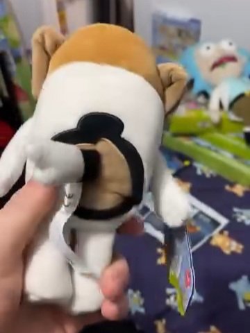 Alright Everyone, This Is Gonna Probably Be The Most IMPORTANT Jack Plush Update Yet...

We Got Our First IN HAND/IRL Picture's Of The Jack Plush!!!

This Jack Plush Was Spotted In New Zealand And We Got A More Better Look At How The Plush Look's Like, So Enjoy Seeing These🤎🤍🌌