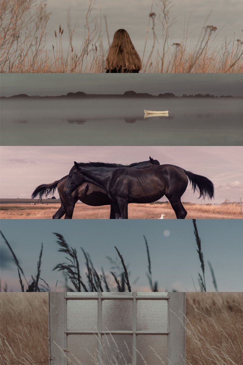 Maria Fynsk Norup 💎🍂 eth/tez (@mariafynsknorup) on Twitter photo ✨ Now live on <a href="/TransientLabs/">Transient Labs</a> ✨
"All the colours of the wind" is an ode to the vivid landscapes and emotions that inhabit the subconscious mind.
For this collection I have delved purposefully into the ethereal realm of dreams, where reality and imagination merge and ✨ Now live on <a href="/TransientLabs/">Transient Labs</a> ✨
"All the colours of the wind" is an ode to the vivid landscapes and emotions that inhabit the subconscious mind.
For this collection I have delved purposefully into the ethereal realm of dreams, where reality and imagination merge and