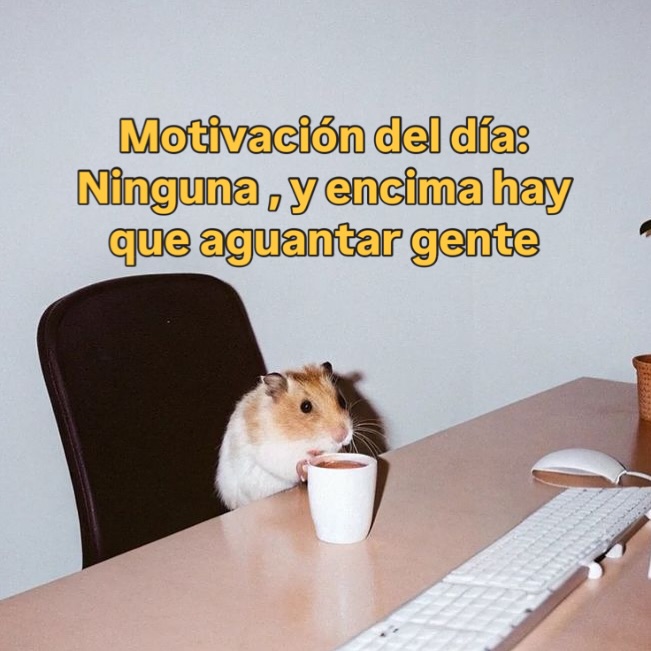 ¿Quién más así? 🤣