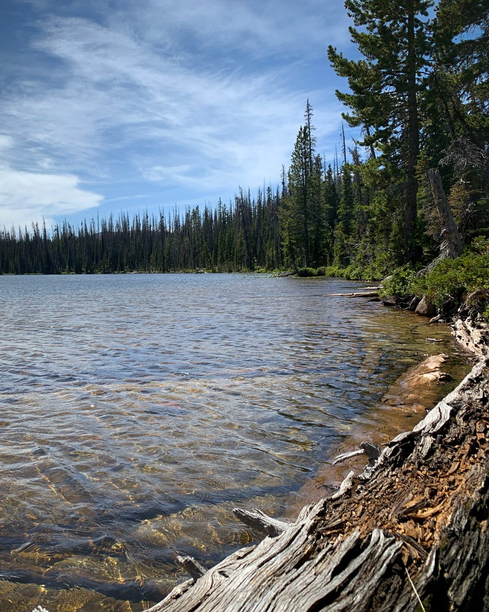 UtahIsAwesome's tweet photo. "Nature's peace will flow into you as sunshine flows into trees"
– John Muir
#uintamountains #hikeutah #utahmountains #utahphotographers #utah https://t.co/5MnxnwY5AW