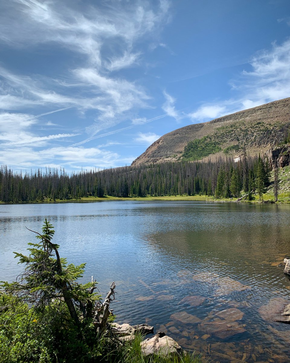 UtahIsAwesome's tweet photo. "Nature's peace will flow into you as sunshine flows into trees"
– John Muir
#uintamountains #hikeutah #utahmountains #utahphotographers #utah https://t.co/5MnxnwY5AW