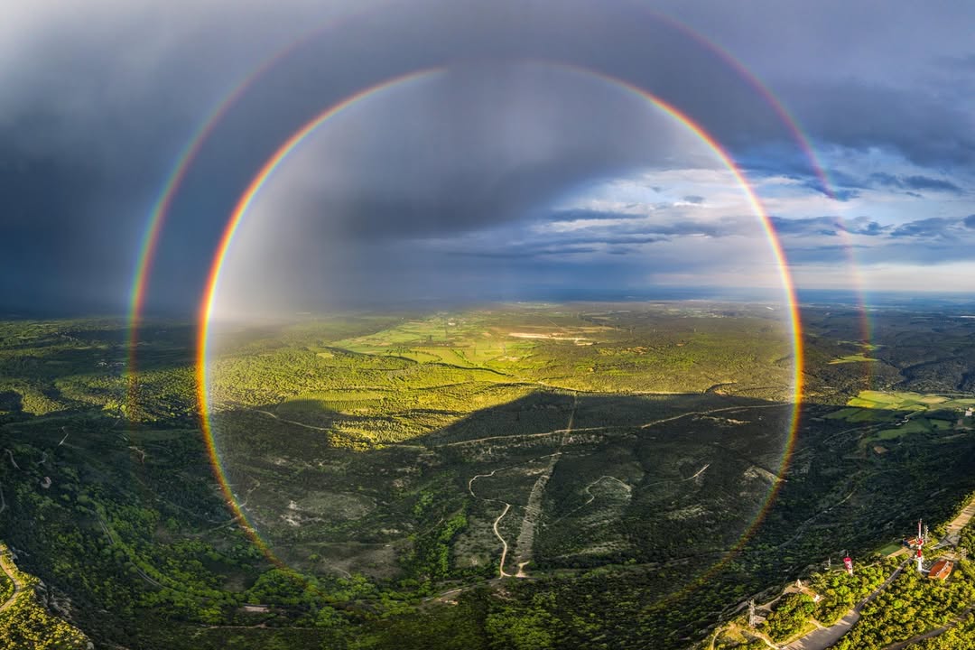 buluttan tweet media