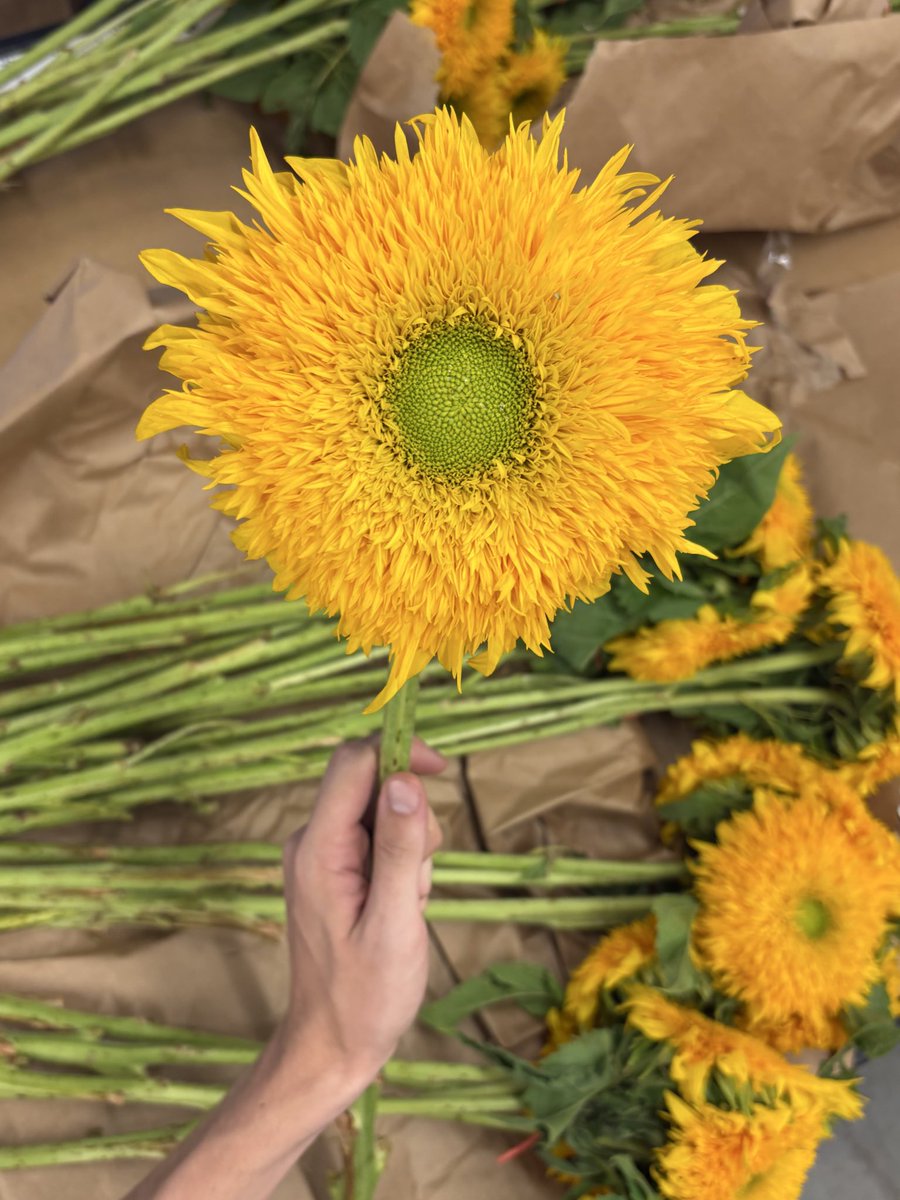 wes (@wesipads) on Twitter photo 