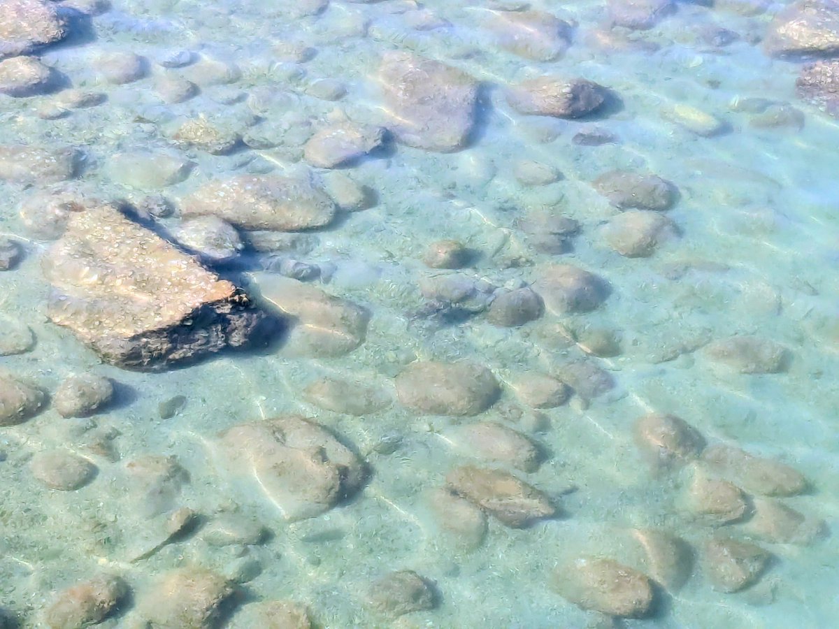 marinacky's tweet photo. 今回の四国周遊の一番の目的地！念願の柏島…！！いろんな魚いて海に浮いてるだけで楽しかったし、川村さんが載せてたイルカにも会えた〜🐬静かな海見るなら違う時期の方がいいんだろうけど、せっかく行くなら泳ぎたかったから8月にしてよかった！
#permanentgirl
#かむ高知観光 https://t.co/9pxtqMZM4d