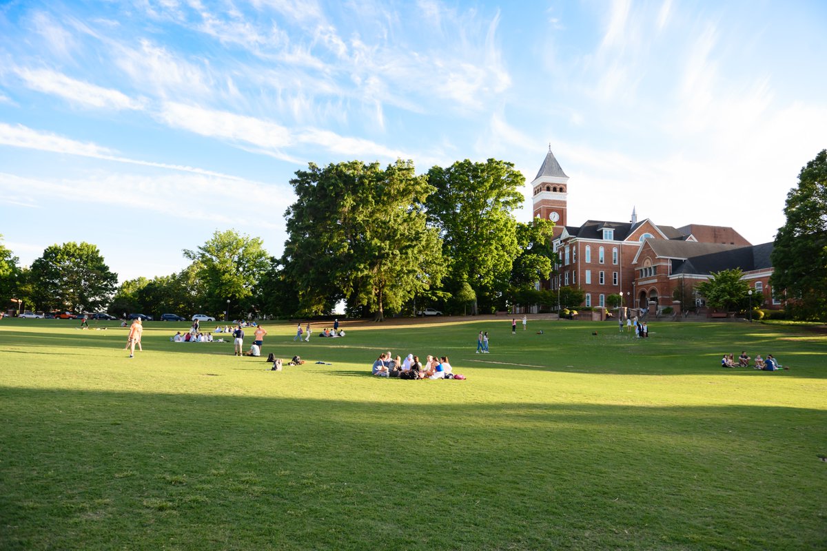 Apply today for Ambulatory LVT Lead - Harvey S. Peeler Jr. College of Veterinary Medicine!

This role supports the Clemson CVM Ambulatory Service, incl day-to-day operations, admin tasks, and operational support to veterinary professionals.

Apply Here! tinyurl.com/43wksvr6