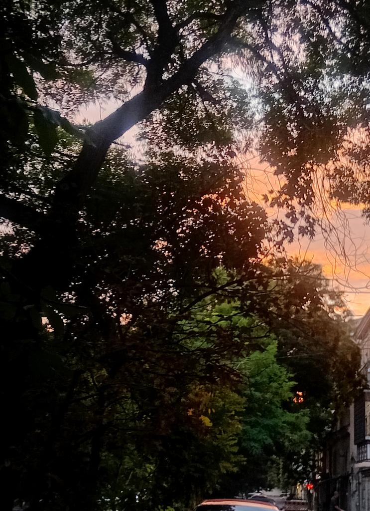 Катерина Галич tweet media