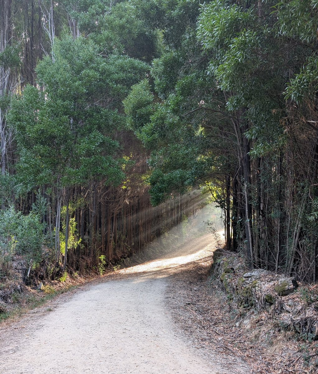Aun cuando vaya por el camino correcto, será arrollado si únicamente se sienta en él. 

Avanza.

Patricia Koppman