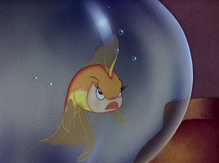 𖹭 (@dreeamberry) on Twitter photo 