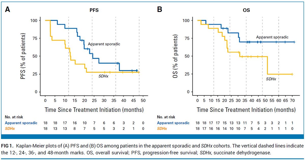 Much awaited study just out! Lu-177 DOTATATE radioligand therapy (RLT) for PPGLs.

Lu-177 DOTATATE RLT clearly has activity but outcomes are dependent on SDHx mutation status. More retrospective data coming from Mayo Clinic very soon... 😉

<a href="/JaydiDelRivero/">Jaydira Del Rivero, MD</a> <a href="/freddyeescorcia/">Freddy E Escorcia (@freddyeescorcia elsewhere)</a>
