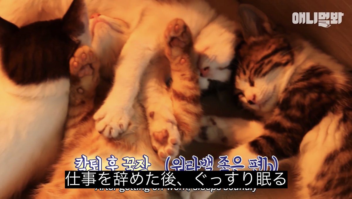 ねよかな