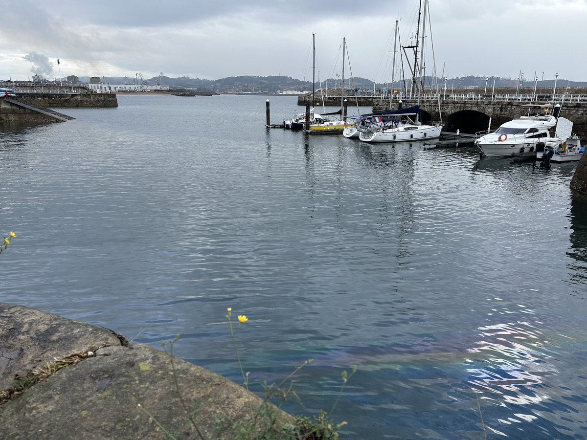 Same “sh*t” day after day 
#gijon