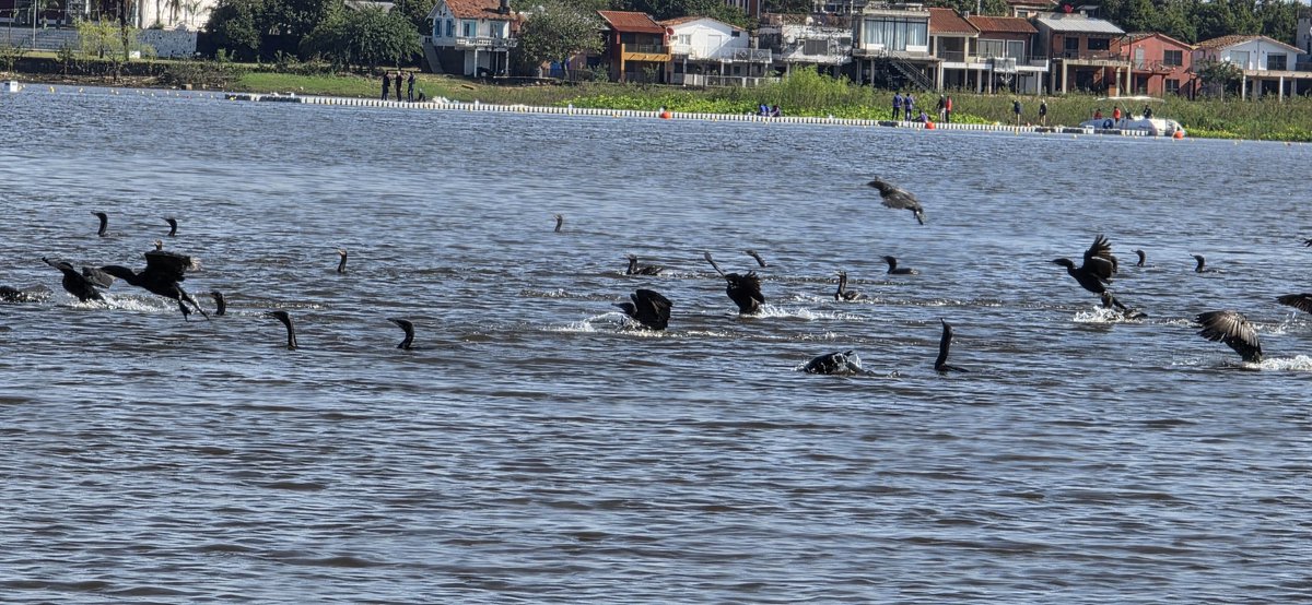 impeesa15's tweet photo. Bahía de Asunción https://t.co/apdIBnOEZ7