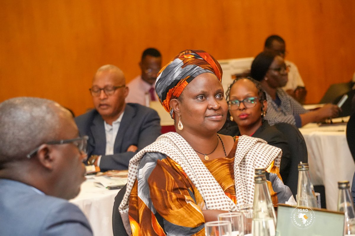 IGAD Missions tweet media