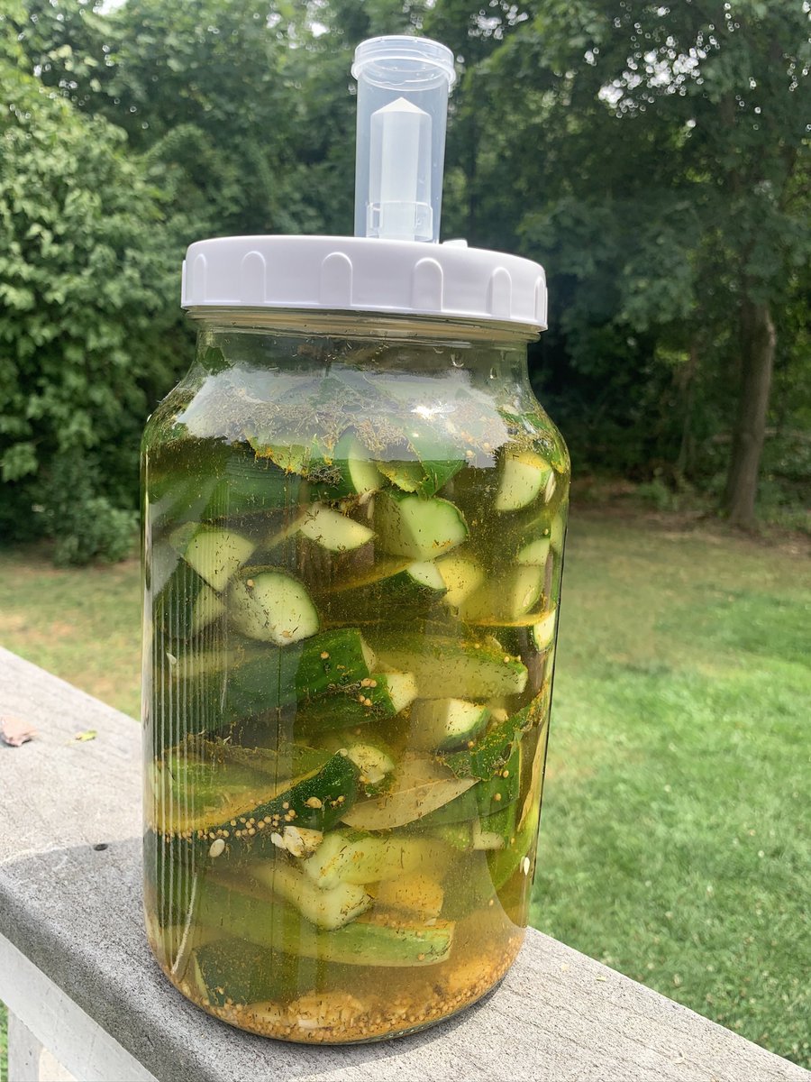 Fermenting Pickles &gt; Vinegar pickles 

They turned out so crispy crunchy and packed with so much flavor 😍

Check out the recipe &amp; tutorial: youtube.com/shorts/d4WtaAj…