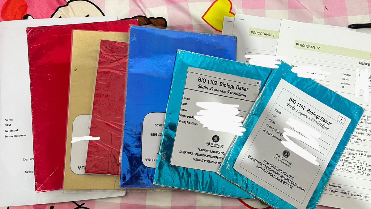 aisa rodriguez tweet media