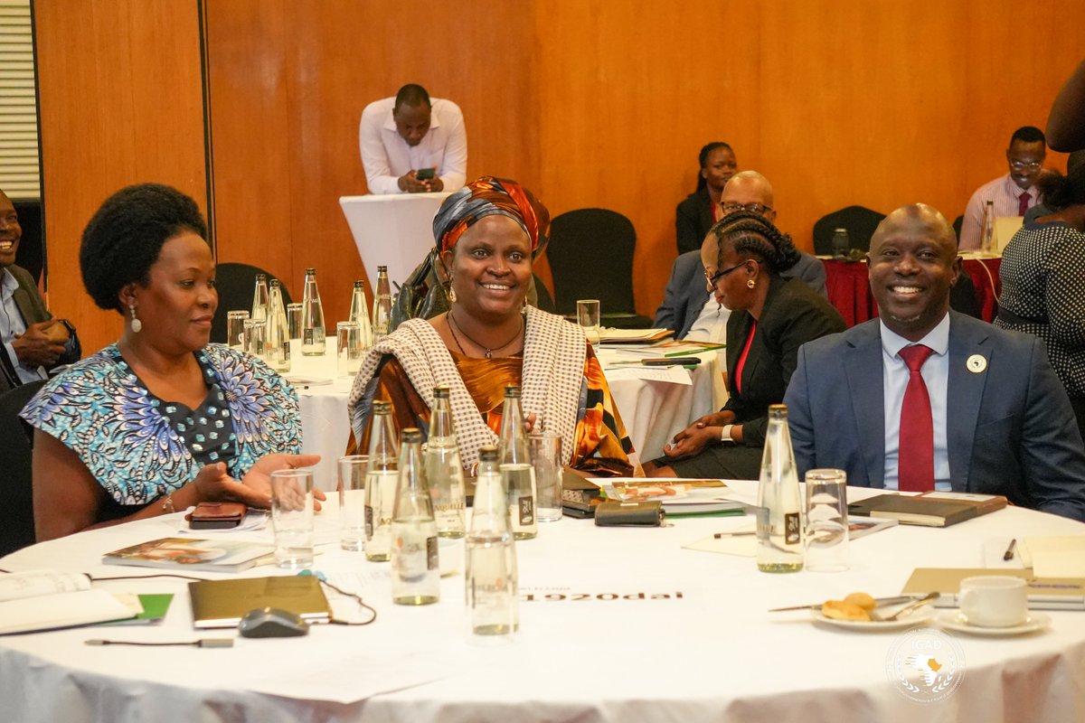 IGAD Missions tweet media