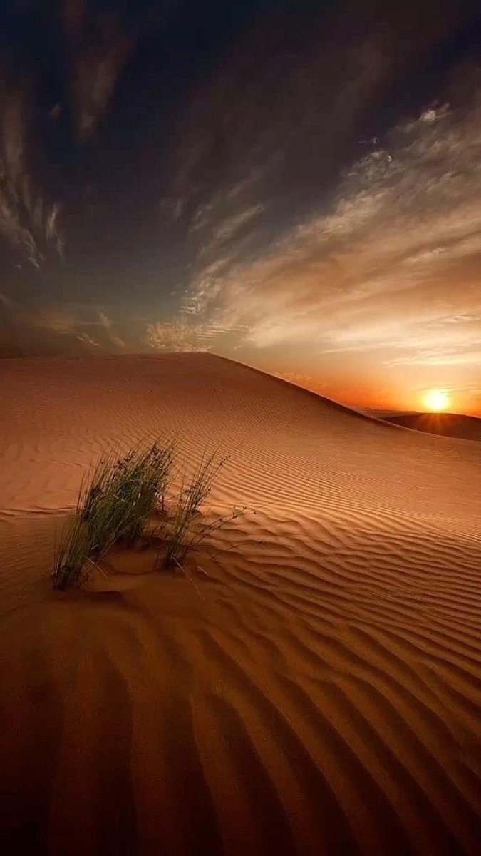 المقهى الأدبي☕️🖋 (@2_aladb) on Twitter photo لَخلوَةٌ عن ضجيجِ الرُّوحِ أطلُبُها
بين الرِّمالِ وعِطفُ الغَيمِ لي كَنَفُ
وعازِفُ الرِّيحِ يجلو الصَّمتَ يقطعُهُ
كأنَّهُ زامرٌ .. والنَّاس قد وقفوا
أحبّ عندي من الدُّنيا وبَهرَجِها
ومن ضنينٍ بها أودى بِهِ اللهَفُ
#خالد_العتيق
<a href="/khaledaho/">خالد العتَيِّق</a> لَخلوَةٌ عن ضجيجِ الرُّوحِ أطلُبُها
بين الرِّمالِ وعِطفُ الغَيمِ لي كَنَفُ
وعازِفُ الرِّيحِ يجلو الصَّمتَ يقطعُهُ
كأنَّهُ زامرٌ .. والنَّاس قد وقفوا
أحبّ عندي من الدُّنيا وبَهرَجِها
ومن ضنينٍ بها أودى بِهِ اللهَفُ
#خالد_العتيق
<a href="/khaledaho/">خالد العتَيِّق</a>