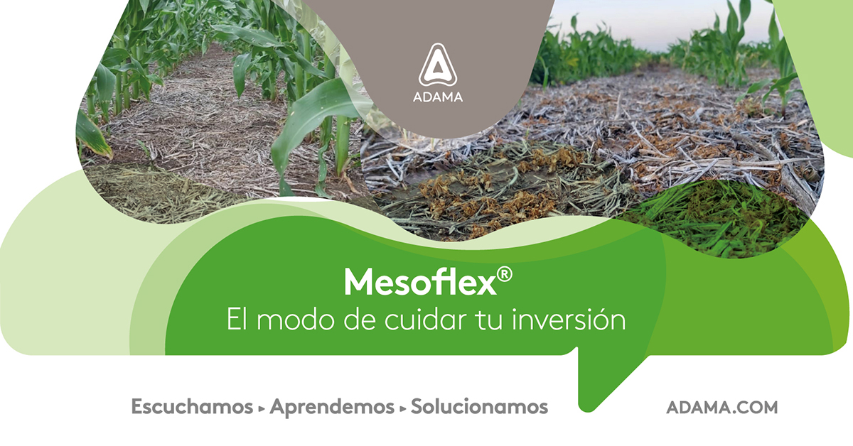 🌽 Mesoflex®: el herbicida sistémico y residual para maíz que asegura control en postemergencia temprana y cuida, como ningún otro, tu rinde y tu rentabilidad.

Conocé más 🔗 bit.ly/48ulhcz