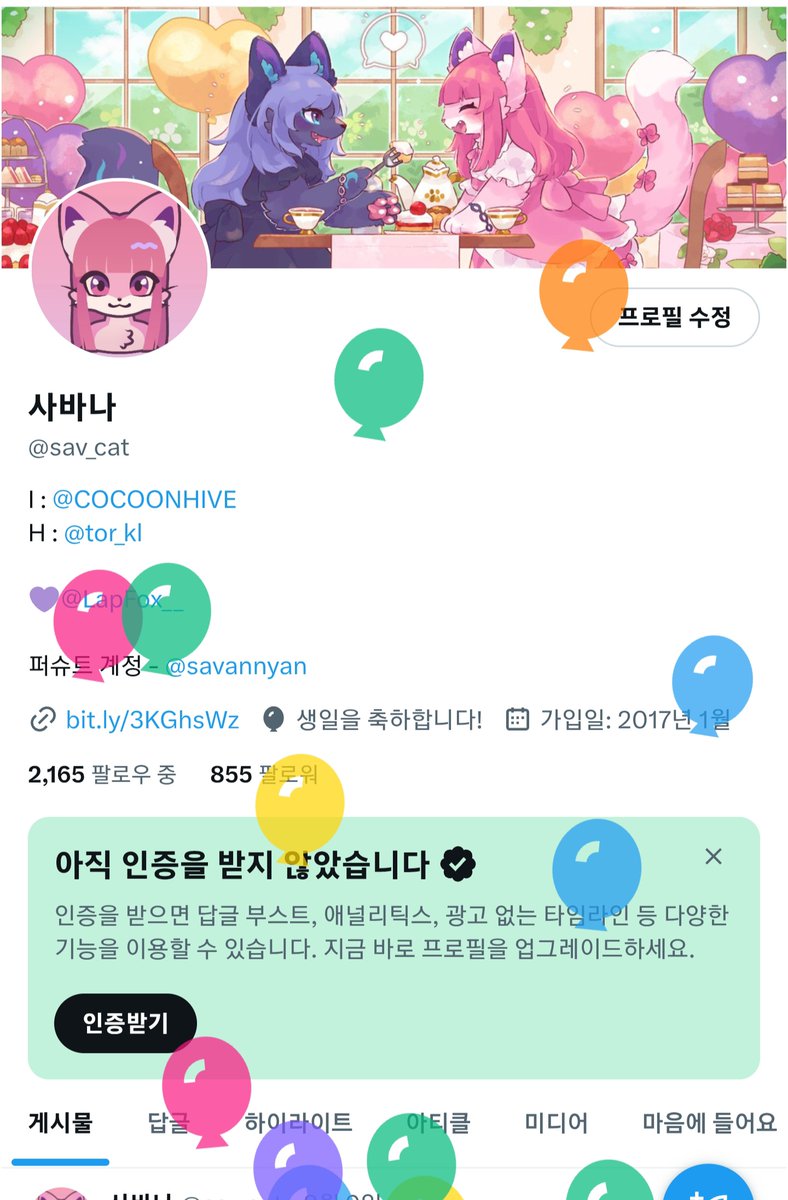 사바나 (@sav_cat) on Twitter photo 