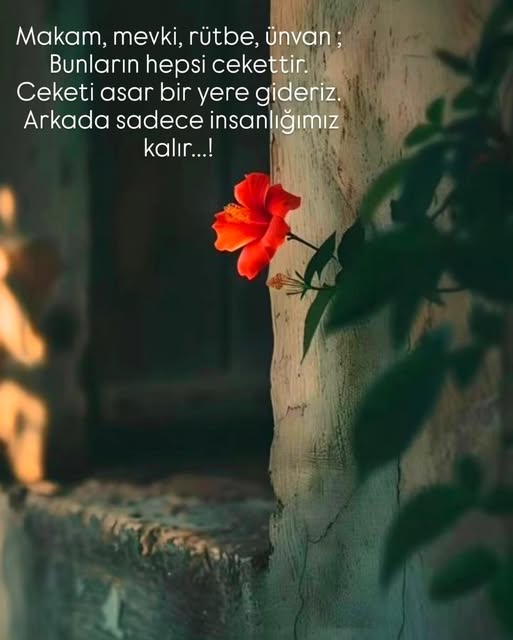 alp (@alp_all) on Twitter photo 