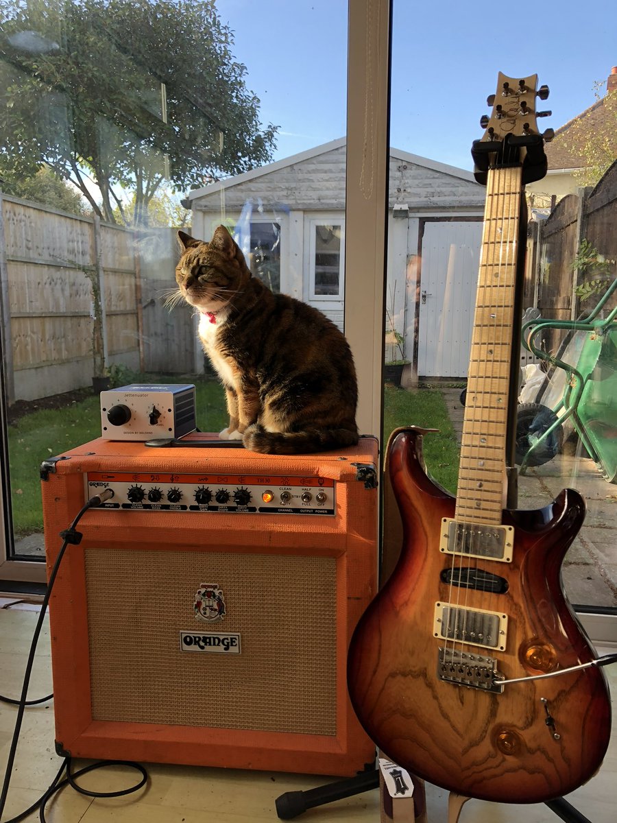 Orangeamps tweet media