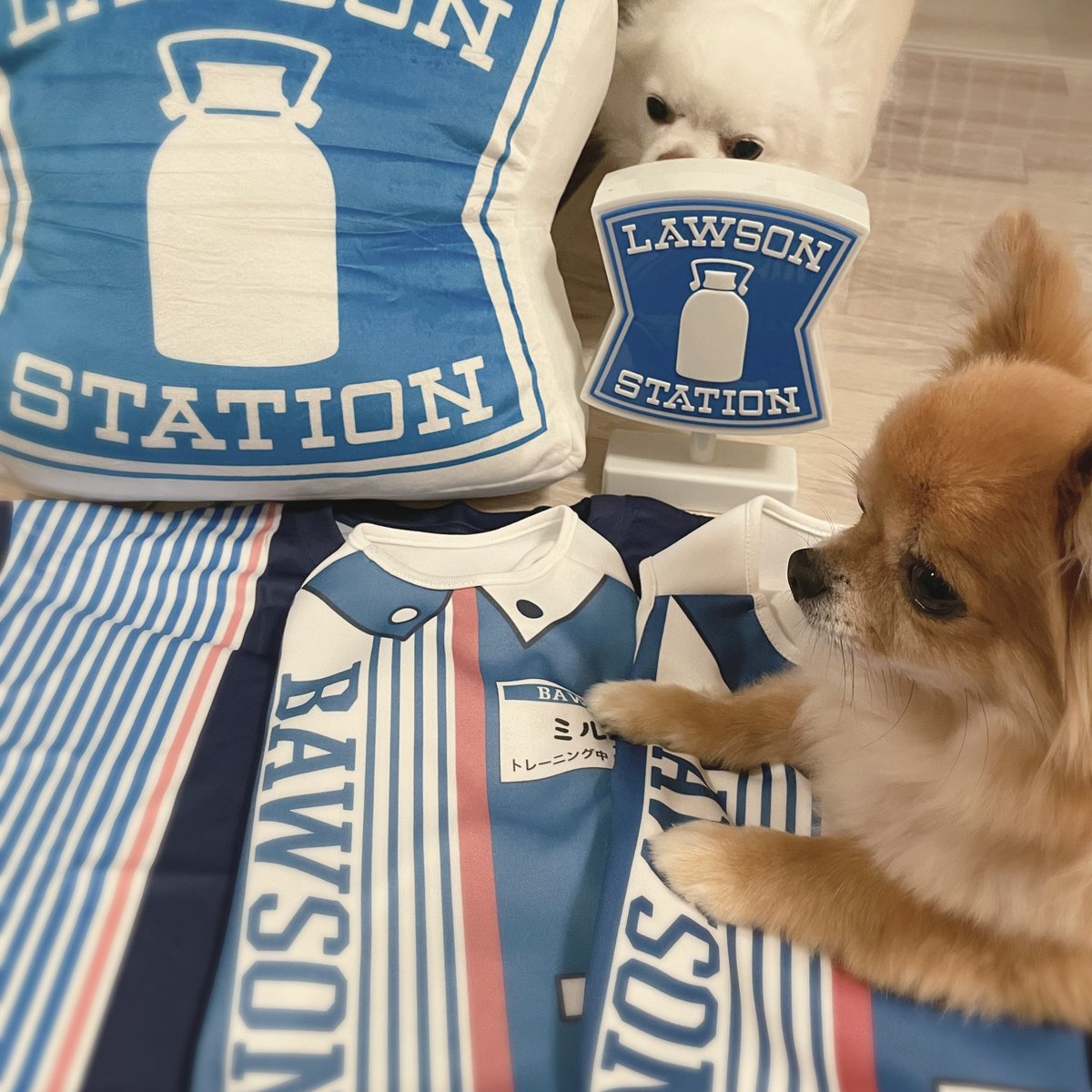 ローソンLAWSON 50周年 限定 3点セット LAWSON 50周年グッズ | 自分のメモ的なブログ