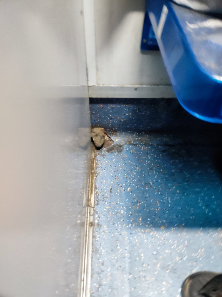 Pratham03498633's tweet photo. @RailwaySeva @RailMinIndia @WesternRly 
Train no: 17630, coach A1 (2nd AC). The coach is very dirty.. Could you please provide a resolution?
PNR: 4634928231 https://t.co/vdCSMjbxZ1