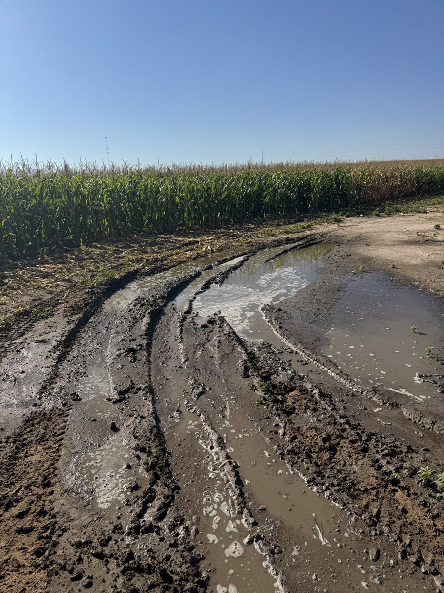 Andrew Moser 🇺🇸 tweet media