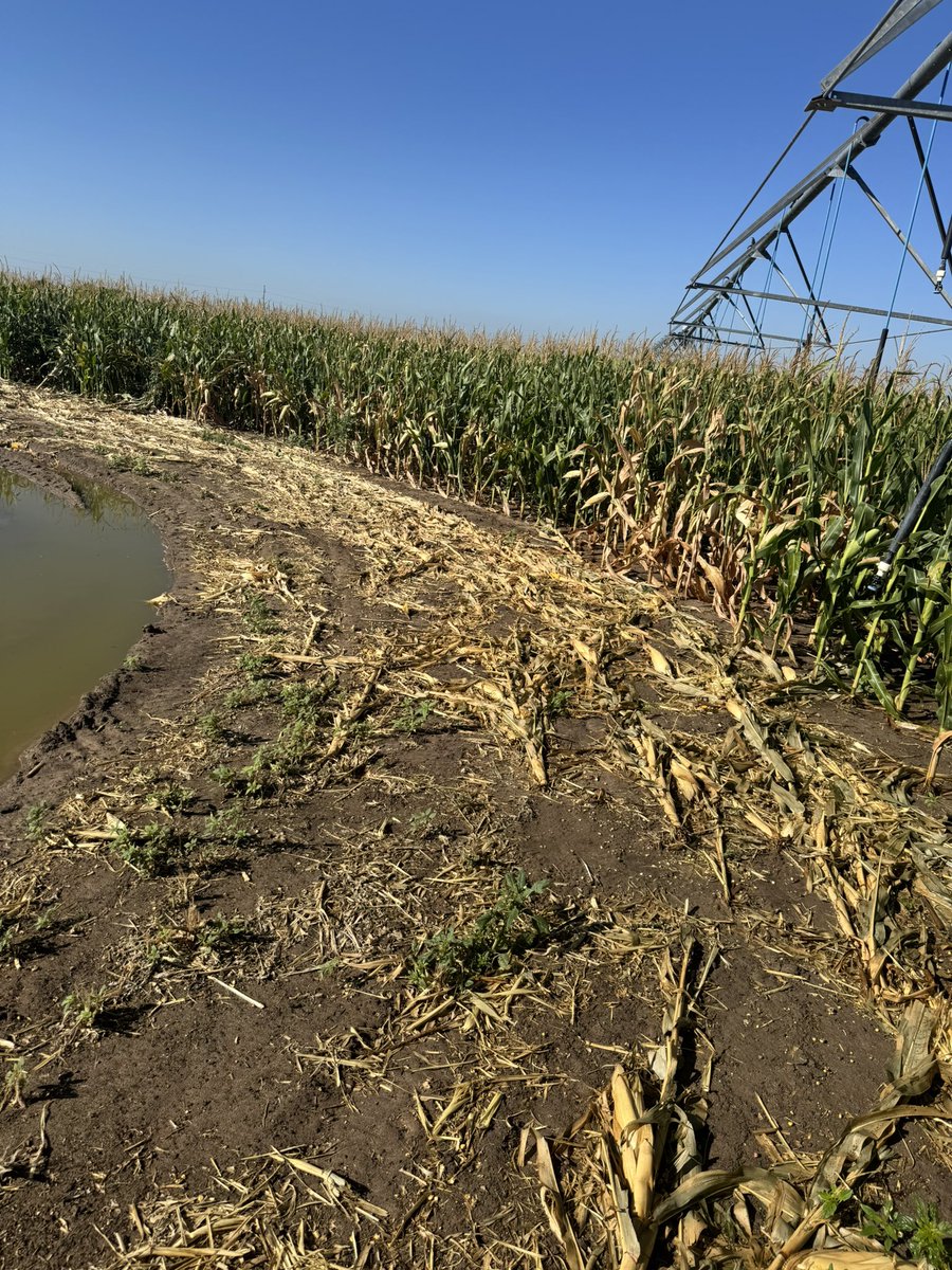 Andrew Moser 🇺🇸 tweet media