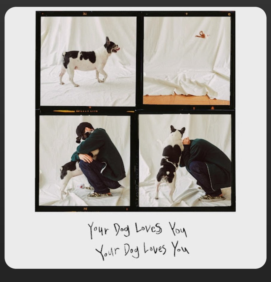 안녕! 내 강아지!
영원한 내 천사....사랑해 ❤️ 
.
.
.
.
.
.
.