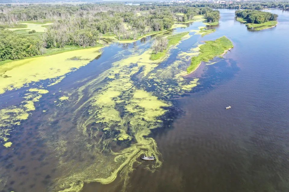 Catch a bird’s eye view of what will be at play for the Pro-Guide Batteries Bassmaster Elite at Mississippi River out of La Crosse, Wisconsin! 

🚁 Craig Lamb 
#bass #bassmaster #BassElite 
👇
bassmaster.com/elite/slidesho…