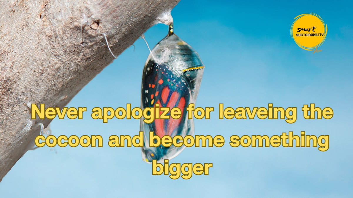 NDevidar's tweet image. Never apologize for leaving the cocoon. Become something bigger. Leaving the cocoon is not betrayal — it’s becoming.

#NatureWhispers
#CreateTheFuture
#AwakeNotWoke
#ReconnectWithNature