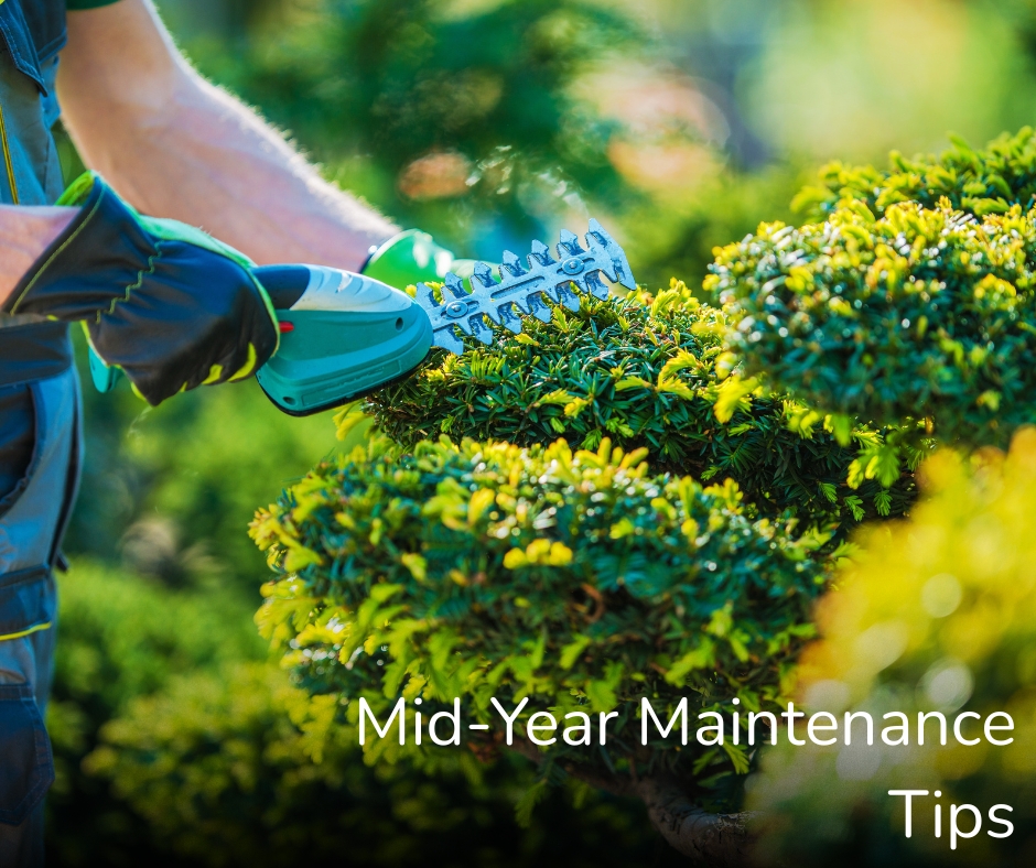 HalleProperties's tweet photo. Landlords! Is your property ready for summer?

Stay on top of compliance checks &amp; maintenance with our mid-year guide, protect your investment &amp; keep tenants happy.

👉 Read more: https://t.co/0FQchalm51

#LandlordTips #PropertyManagement #RentalProperty https://t.co/8I0xghghjP