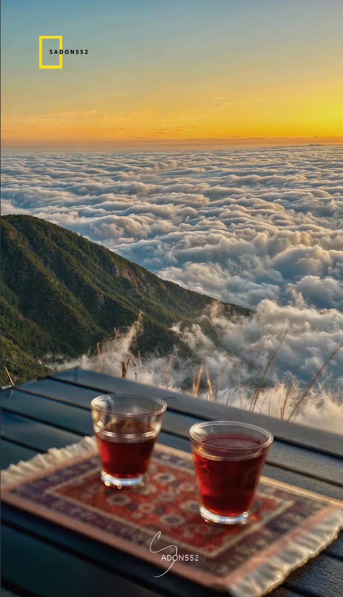 ‏الاميرة 🇸🇦 tweet media