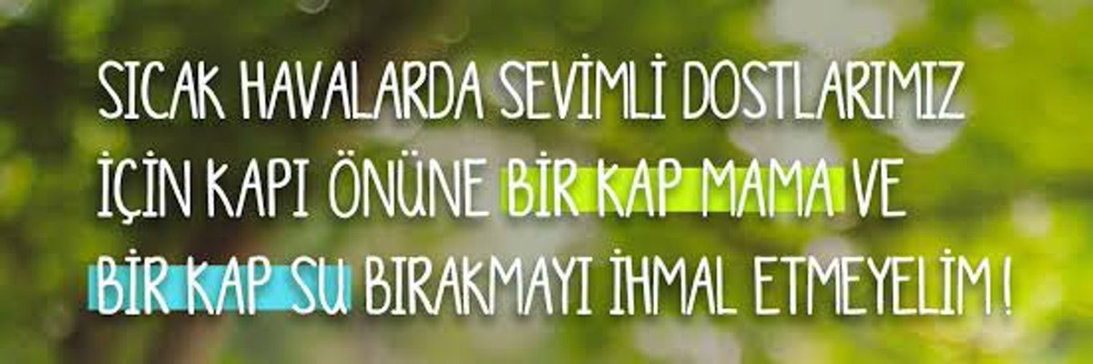 TurkAmatorler__'s tweet photo. Buna da RT atın 🙏🏻 https://t.co/TVQHuyeicP