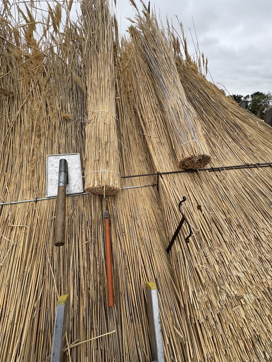Autumn vibes today #thatching #masterthatchers #ruralcrafts #cambridgeshire