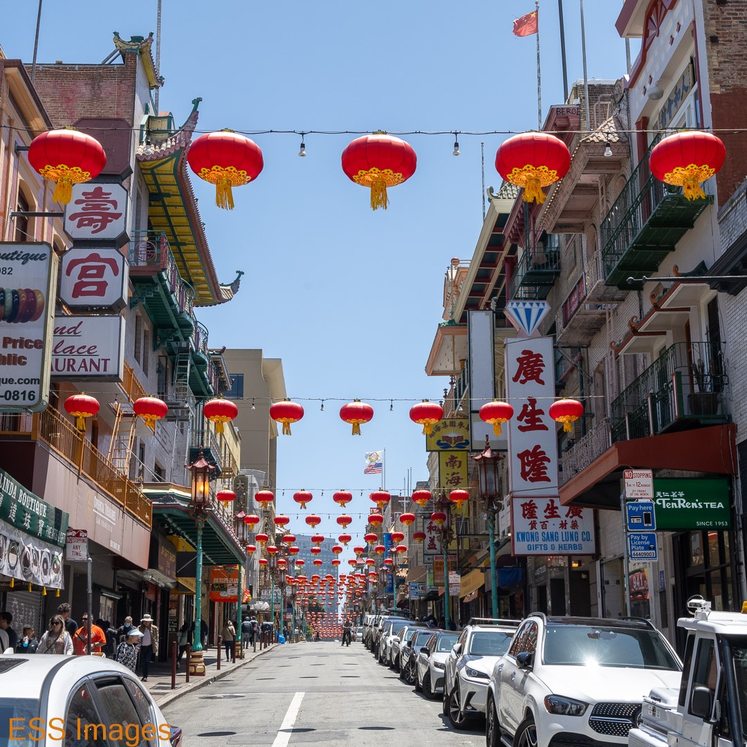 ESS_Images's tweet photo. After Point Lobos we rode across to Chinatown and had lunch with my niece and nephew.  Tasty food at the Great Eastern!

#sanfrancisco #chinatown 
#bicycle #transamerica
#greateasternsf

#nikon #nikonphotography⁠
#nikonz7ii⁠
#photography #photographer⁠ https://t.co/8naUn6W9FJ