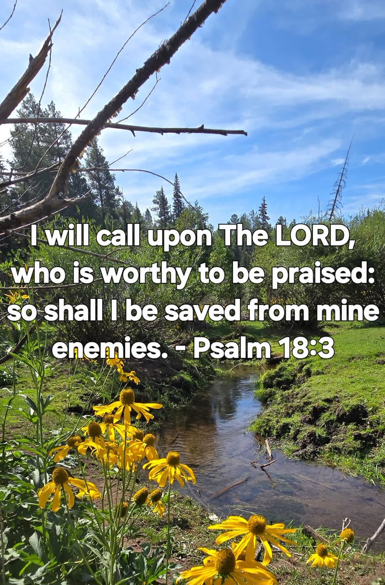 FlgMissionTab's tweet image. #LordJesusChrist #TheMessage #WorthyToBePraised #Flagstaff