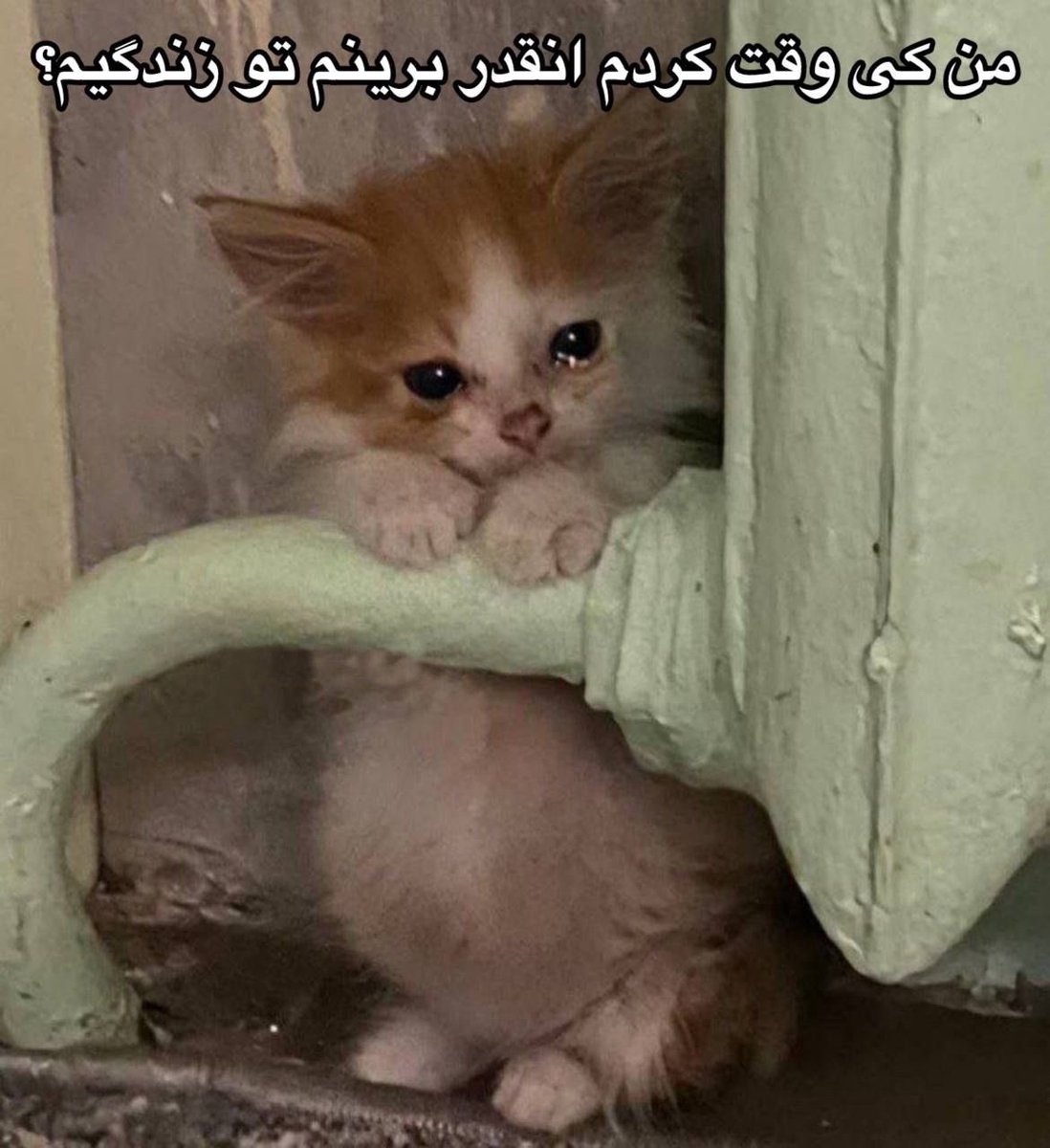 چارنى دپ (@charnidep) on Twitter photo 