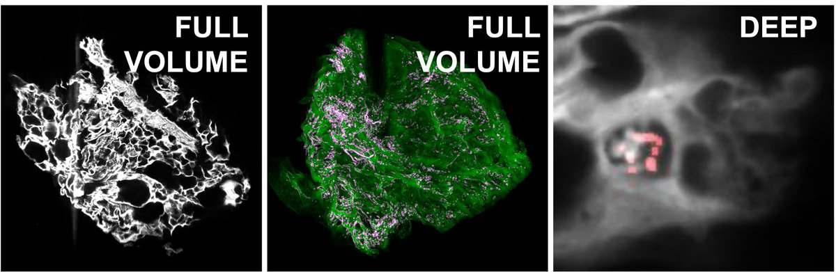 Shreya Raghavan tweet media