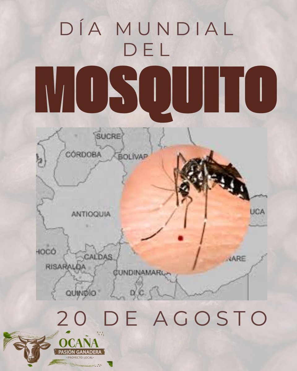 El mosquito más pequeño puede causar el mayor daño. Este Día Mundial del Mosquito, 🦟actuemos para prevenir enfermedades como el dengue, el zika y la malaria. 🦟🧬🦠
#DíaMundialDelMosquito
#MosquitoNoEsInofensivo
#SaludSinZancudos 
<a href="/Fedegan/">FEDEGAN</a> 
<a href="/jflafaurie/">José Félix Lafaurie</a> 
<a href="/PlArauca/">Pasión Ganadera-PLARAUCA</a> 
<a href="/PL_TAME/">Tame Pasión Ganadera</a>