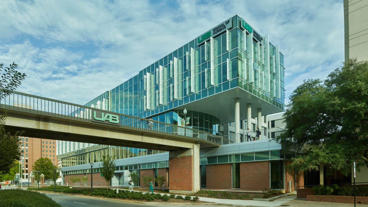 Nurses belong at the AI table.

In NAI 611, we explore the tools, ethics, and future of nursing and AI.

UAB students: online course begins Aug 25.
Register via BlazerNet or contact me.

#GradNursing #HealthTech #AIinNursing