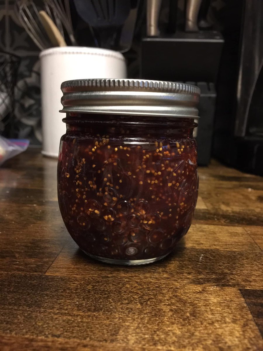 In 2019 I had one fruit tree. A fig tree. I had zero idea what I was going to do with all of the fruit it was producing.  I wondered if I could figure out how to make jam. I found a recipe and sure enough…not only could I make it, it was delish!  Then I wondered if I could