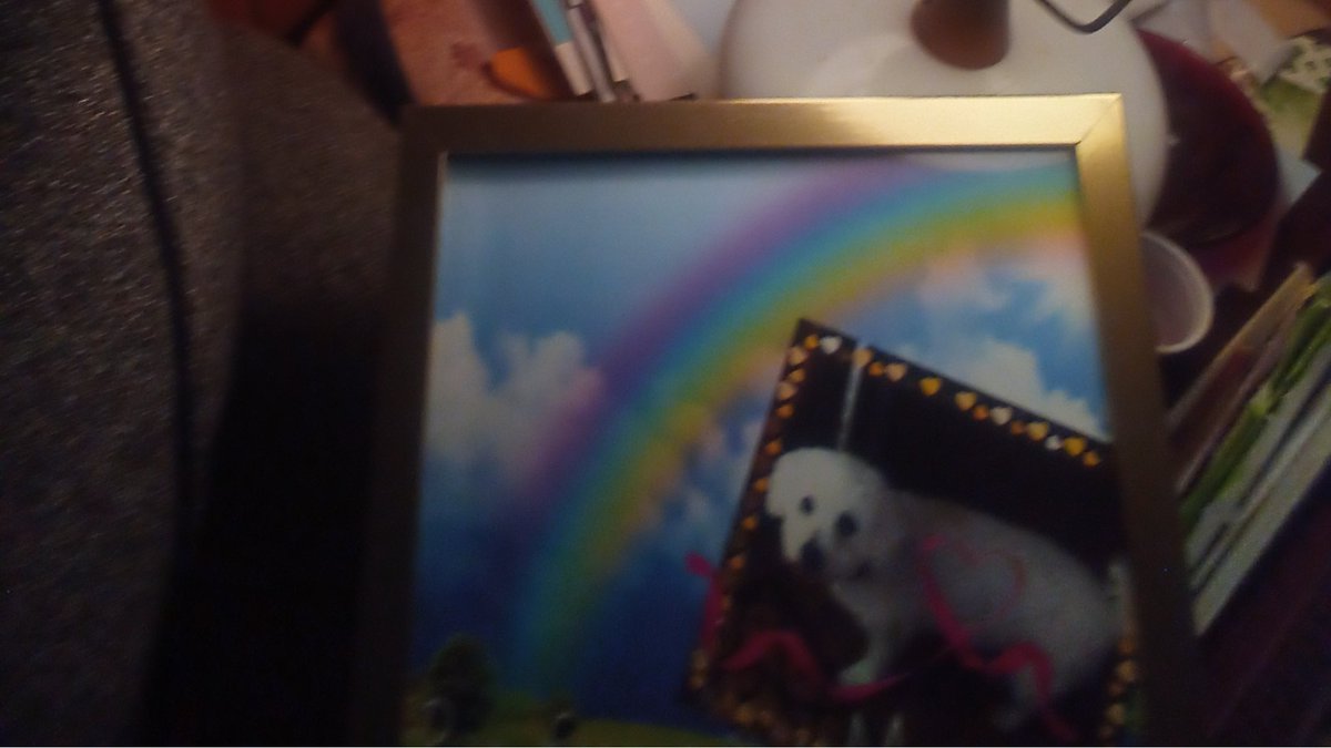 Angel Max🌈💓 tweet media
