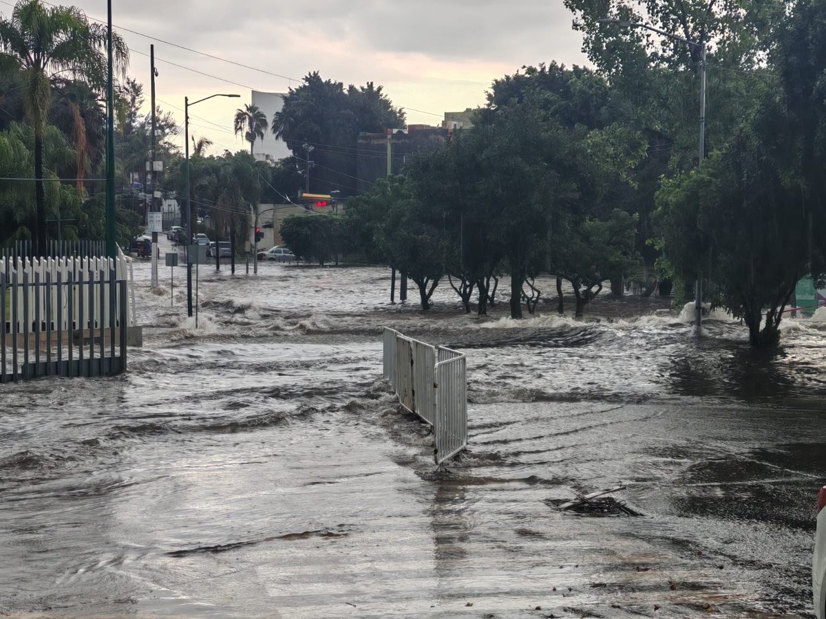 🚨 #VialZONA3 | ¡Alerta en Av. Faro! 🚧
Su cruce con Av. de las Rosas (Expo) está totalmente cerrada. Evita la zona y busca rutas alternas para no quedar atrapado. 🚗❌