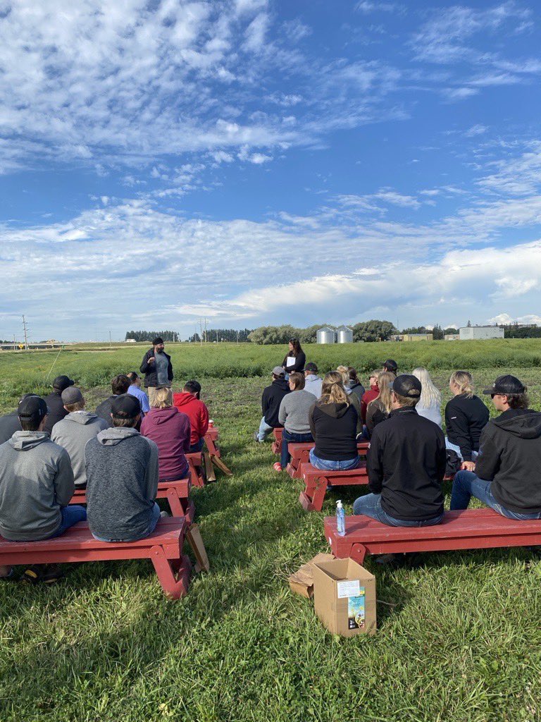 Canola Disease Training &amp; Variety Evaluation Trial Tours continue tomorrow and Friday, 9 AM - 12 PM:
📍 Melita – Aug 21
📍 Glenlea – Aug 22
Expert speakers from <a href="/MBGovAg/">Manitoba Agriculture</a> <a href="/CanolaGrowers/">Canola Growers</a> <a href="/canolacouncil/">Canola Council of Canada</a> <a href="/UM_agfoodsci/">UM Ag&Food Sciences</a> #MBAg #WestCdnAg #AgTwitter